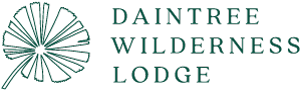 Daintree Wilderness Lodge Logo